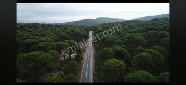 Kozak Yaylasında Yatırımlık Tarla