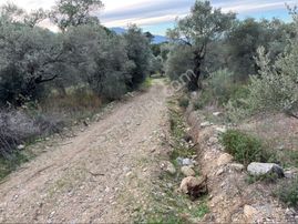 İhtiyaçtan Satılık