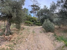 İhtiyaçtan Satılık