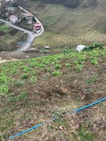 Sahibinden Akyazı Camii