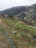 Sahibinden Akyazı Camii