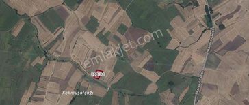 Çakıllı/hürriyet 443 M2 Hisse