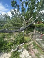 Sahibinden Başayaş Ta Satılık Bahçe