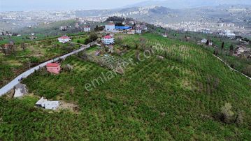 Ulu Gayrimenkul'den Karacaömer Mah. 3600m² Satılık Arsa