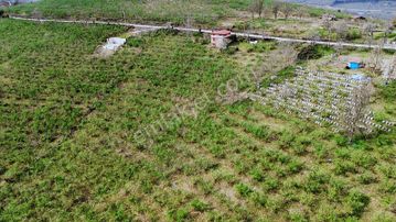 Ulu Gayrimenkul'den Karacaömer Mah. 3600m² Satılık Arsa