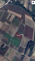 Sahibinden Kocaeli Körfez Çıraklı Sahibinden Tek Tapu Yatırımlık Tarla