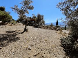 Blue Life Elıt'den Kestel Dudaklı'da Satılık Hobi Bahçesi