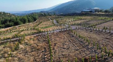 Kemalpaşa Yukarıkızılca Da Manzaralı Projeli 411m2 Bahçeler