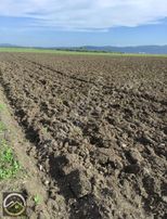 Menderes Tekelide 6 Dönüm Yatırımlık Arazi.