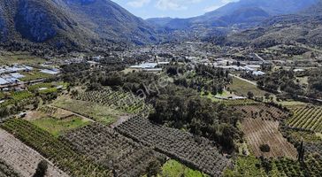 07 Truva Emlak'tan Kumluca Adresan Da Satılık Portakal Bahçesi