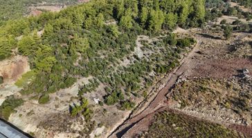 07 Truva Emlaktan Kumluca Toptaşta Satılık Tarla