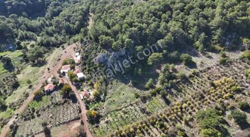 07 Truva Emlaktan Kumluca Adresanda Satılık Arazi