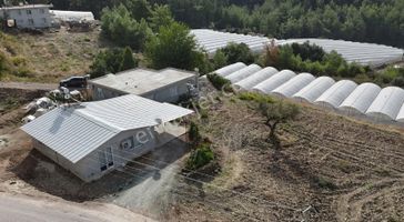 07 Truva Emlaktan Kumluca Ortaköyde Satılık Müstakil Ev