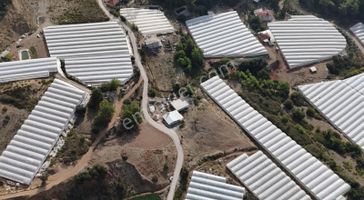 07 Truva Emlaktan Kumluca Ortaköyde Satılık Müstakil Ev