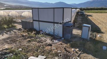07 Truva Emlaktan Elmalı Yakaçiftlik Köyünde Satılık Sera