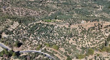 07 Truva Emlaktan Aydın Karacasu İlçesinde Satılık Zeytinlik