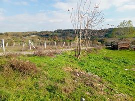Ege Gayrimenkul Den Silivri'de Satilik Arsa