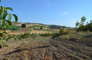 Akev'den Yenişehir Mahmudiye'de Yola 200 M Cepheli Ceviz Tarlası