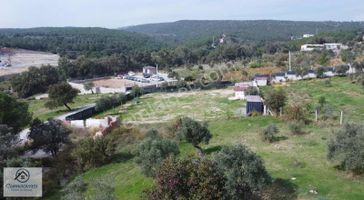 Cumaovası Emlaktan Satılık 3000 M2 Satılık Tek Tapu