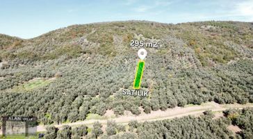 Kaymakobada 295 M2 Satılık Zeytinlik