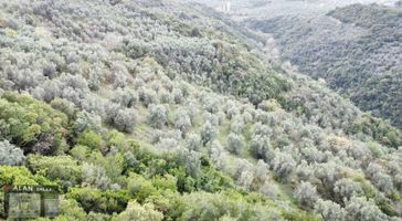 Mudanya Halitpaşada Satılık Toplam 12.803m2 Açıklamayı Okuyunuz!