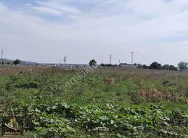 Mrm Gayrimenkul'den Satılık Köye Yakın Tarla