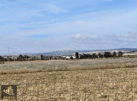 Mrm Gayrimenkul'den Satılık Tarla