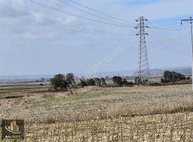 Mrm Gayrimenkul'den Satılık Tarla