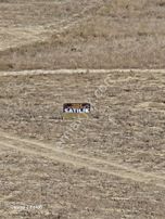 Buruk Ta Kelepir Tek Tapu İnşaata Açık 333 M²