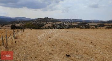 Çanakkale Lapseki Çamyurtta Kupon Arsa