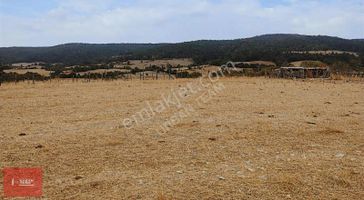 Çanakkale Lapseki Çamyurtta Kupon Arsa