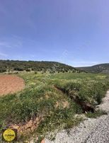 Mendereste Tek Tapu Fırsat Tarla