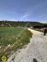 Mendereste Tek Tapu Fırsat Tarla