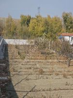 🏕️ Meram Karadiğin' Hazır Kurulu 1.300 M² Köy İçi Hobi Bahçesi