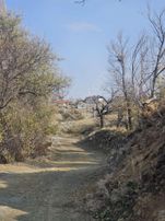 🌼🌳 Meram Karadiğin' Hazır Kurulu 1.300 M² Köy İçi Hobi Bahçesi