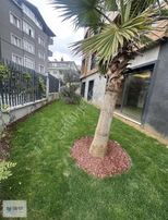 Kemerburgaz 3+1 Bahçe Katı 210 M2 Daire