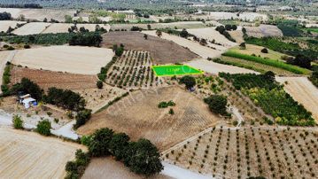 Ulucan'dan İnegöl Yeniceköy'de Satılık Erik Tarlası