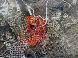 Ev Araç Takasına Açık 10 Dönüm Satılık Nar Bahçesi