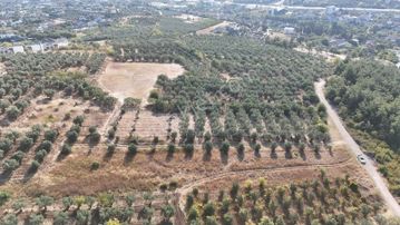 Mudanya Çağrışanda Villa İmarlı 2200 M2 Arsa