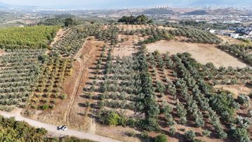 Mudanya Çağrışanda Villa İmarlı 2200 M2 Arsa