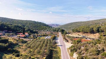Urla Nohutalan Köyünde Yatırımlık Zeytin Ağaçlı Tarla