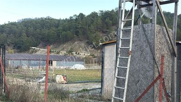 Burdur Ağlasun Hisarköyde Satılık Çiftlik Ve Besihane