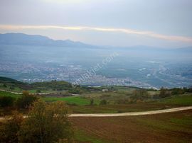 Remax Mavi'den Sakarya Geyve Akkaya'da Manzaralı Satılık Arazi