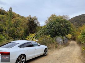 Uçmakdere'de 550 M2 Bağ İçinde Doğayla İçiçe Yaşam Fırsatı