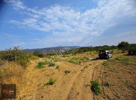 Şarköy Hoşköy De Satılık Tarla