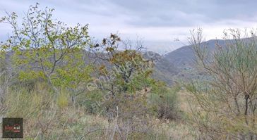 Uçmakdere'de Turistik Bungolov Projelerine Yakın 1657 M2 Tarla