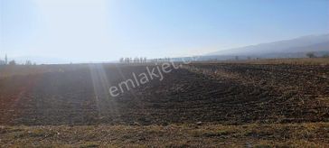 Çapakçur Emlak'tan Satılık Tarla