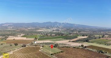 Turpa'dan Musalar Yeniköyde Satılık Tek Tapu Arazi