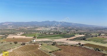 Turpa'dan Musalar Yeniköyde Satılık Tek Tapu Arazi