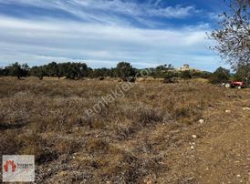 Borsem Datça - Kızlan'da 6122m2 Satılık Tarla